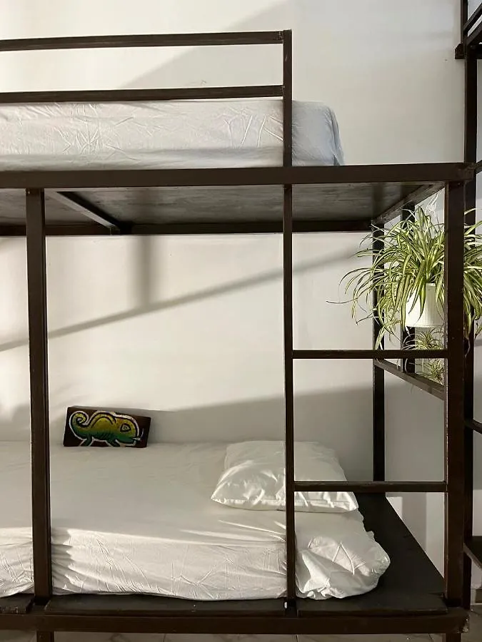 Hostel 林康